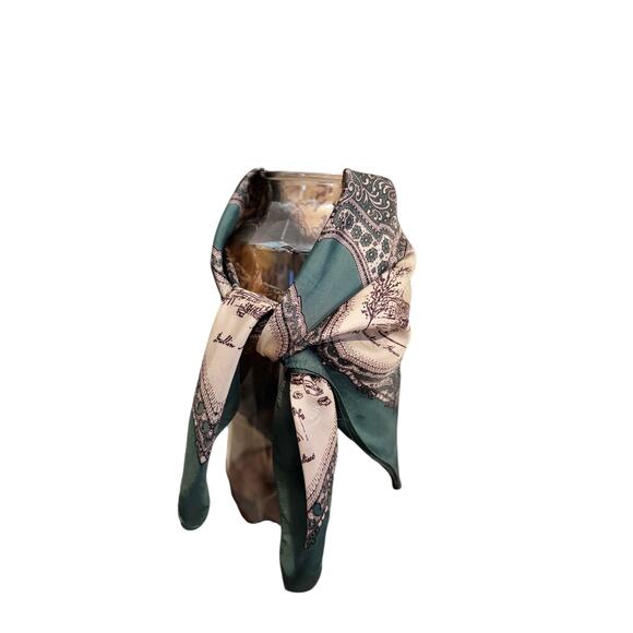 Vintage 1958–62 Arnotts Dublin Silk Scarf Irish Landmarks Map & Paisley Border - Picture 3 of 8